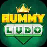 Rummy Ludo